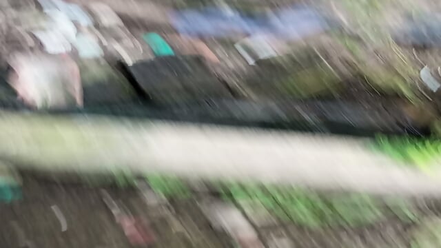 Preview 5