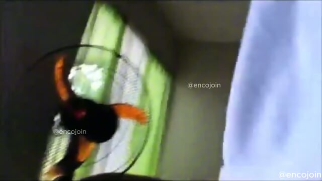 Encoxada Flash Cum Girl Public