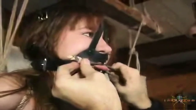 Insex 2000 04 21 Sapling Love  Kinky4Ever