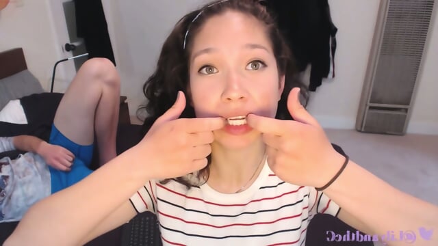 Mixed Asian Lily Compilation