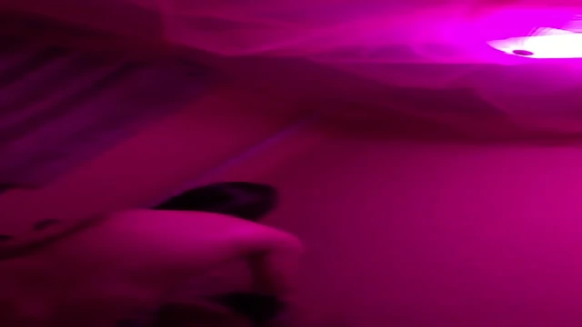 äºæ´²ææ©é¢ --(11)