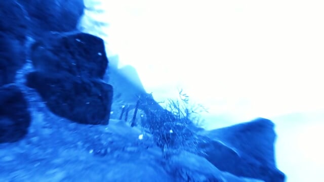Preview 5