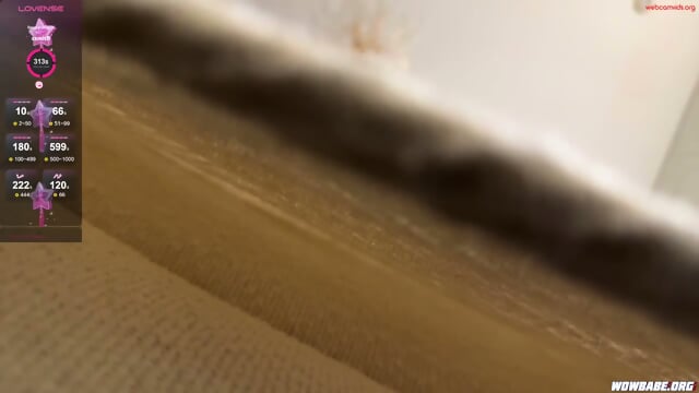 Preview 3