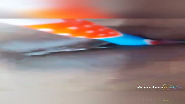 Bangladeshi sexy girl masturbation with toothbrush