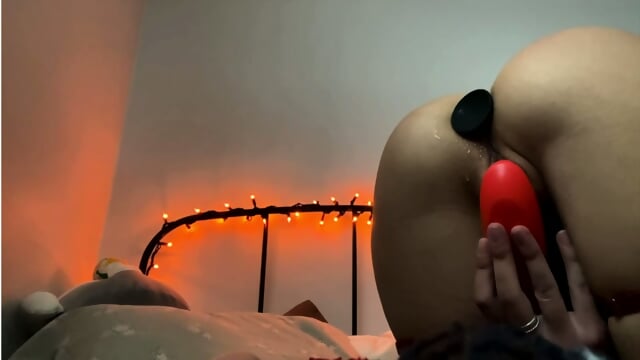 butt plug and vibrator