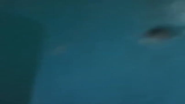 Preview 6