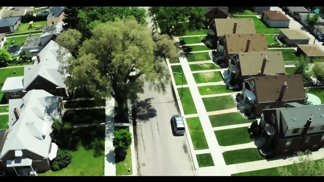 XXX SAGA Desperate Wives S1 Complete 8h SEX