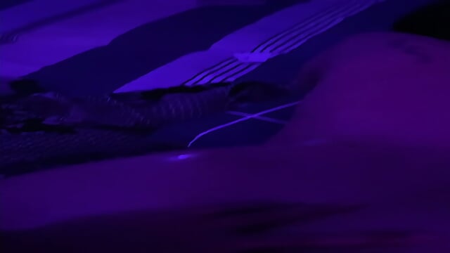Preview 5