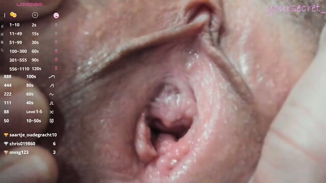 Beautiful ButterflyWings