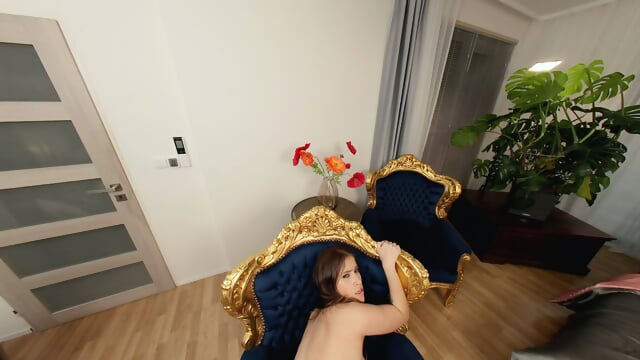 Preview 6