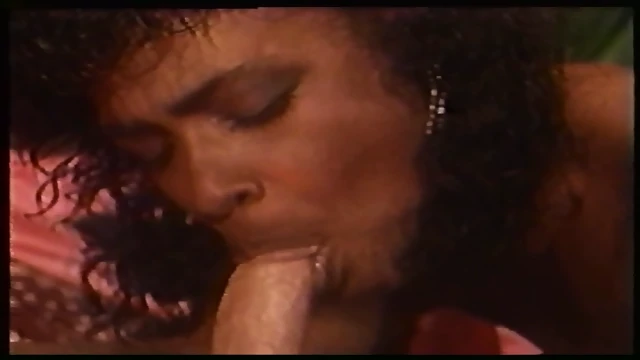 Black Chicks Who Dig Fake Chicks (2 Of 2)