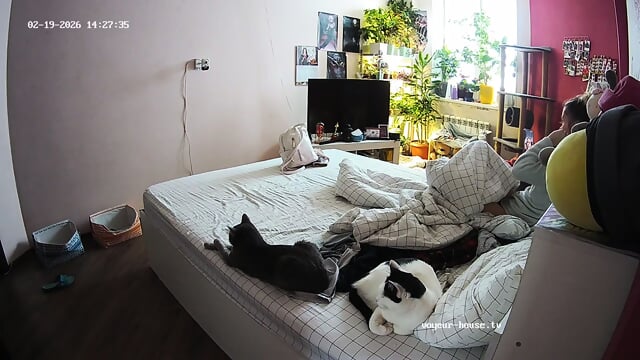 special candid REM sleeping perfect bare feet closeup scenes Bedroom camera at Gella Winston Wolfe reallifecam apartment at Voyeur House TV 19.02.2026 from 10 h 53 to 15 h 17 min