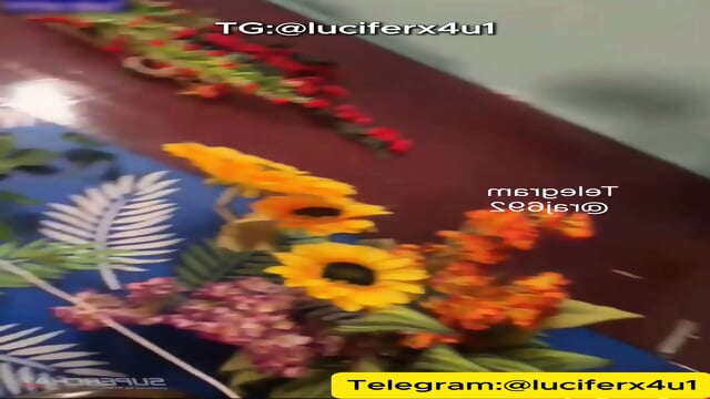 Preview 5