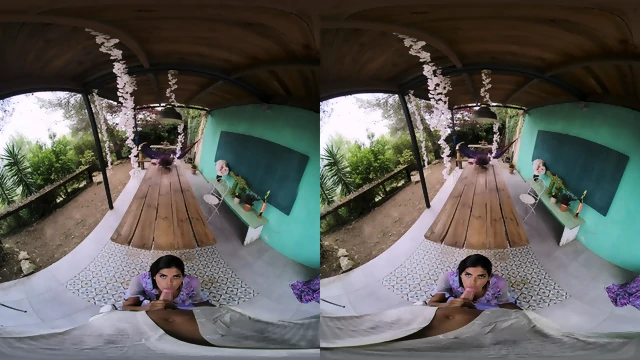 Ⓢⓗⓔⓘⓛⓐ Ⓞⓡⓣⓔⓖⓐ ⓋⓇⒸⓞⓢⓟⓛⓐⓨⓍ 22.09.08