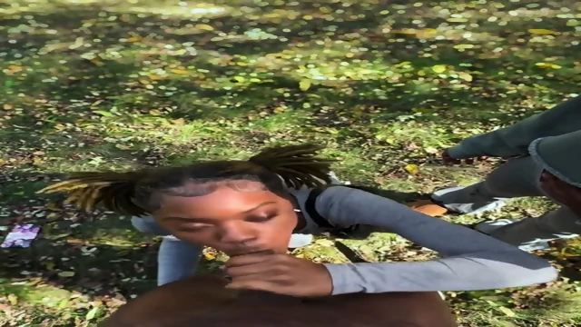 Cream And Kai Stuff 2