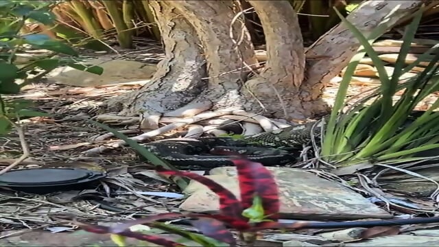 emily ​feld ​poolsid ​P Private Collection At spankbang.pics