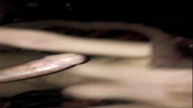 Preview 5