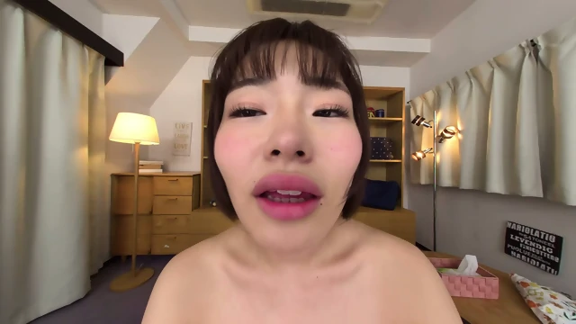 Test MDVR 409 2 åèåªè±