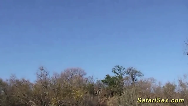 Down In Africa Latin