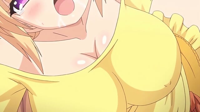 ç§ã®é¦¬é¹¿ãªå¦¹ 3