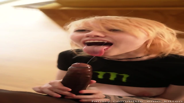 Little Emo Kitten