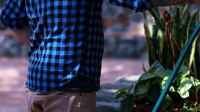 Illicit relationships chapter 7 scene 1 shocking involvements