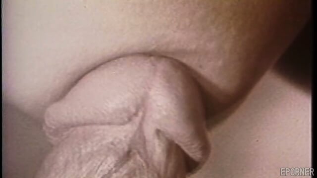 Preview 5