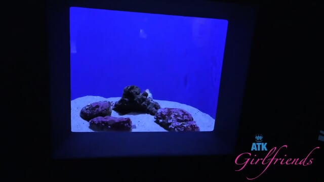 Preview 6