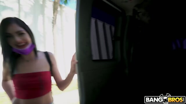 Preview 3
