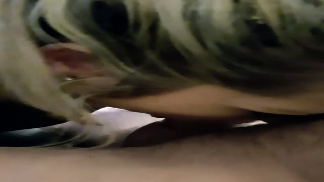 Preview 4