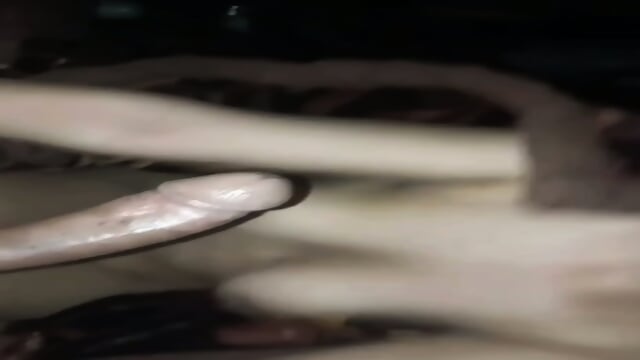 Preview 5