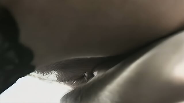 Preview 6