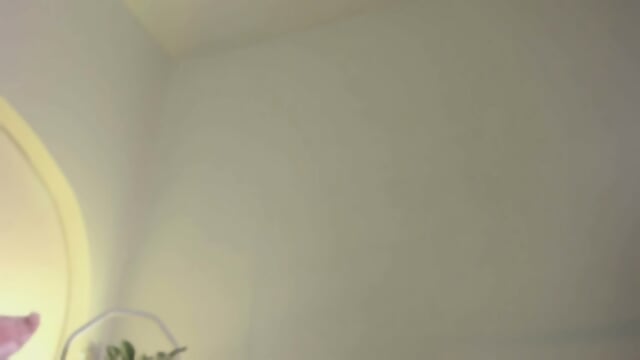 Preview 5