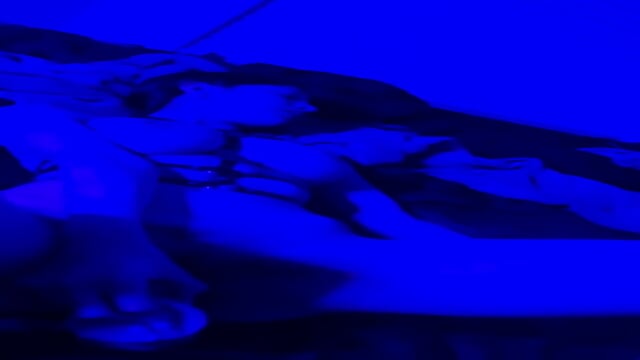 Preview 6