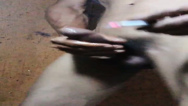 Preview 4