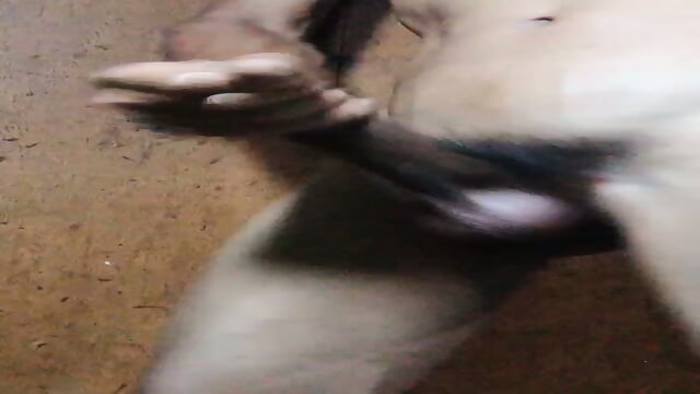 Preview 5