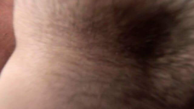 Preview 5