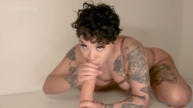 Preview 5
