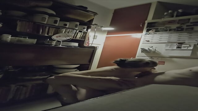 My housewife Anne gives me blowjob in the kitchen swallows all my sperm and cleans my cock