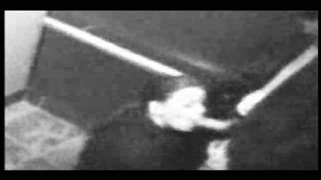 Secretary gives Blowjob In Elevator