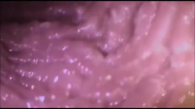 Cock Cums In Pussy (Internal View)