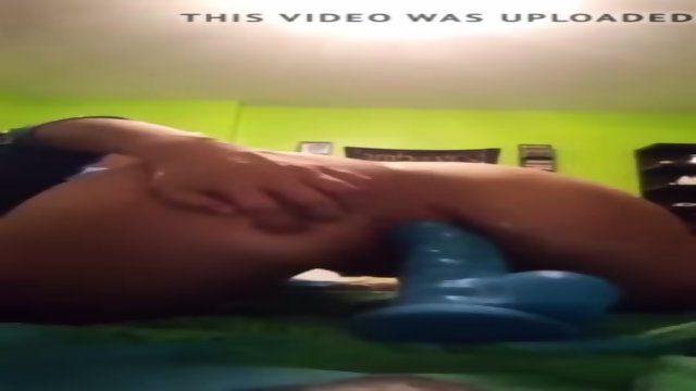 dollar thots really like arschfick