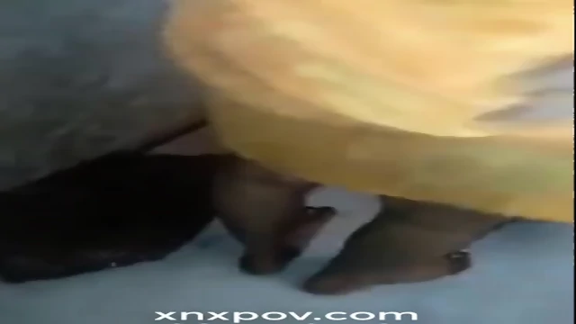 South Indian girl dress change