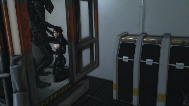 Sex: Enjoy It *Unfinished HMV*