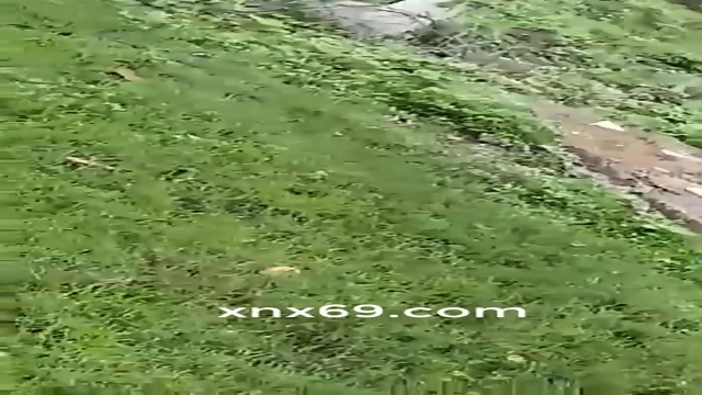 Desi Aunties Pissing In Open