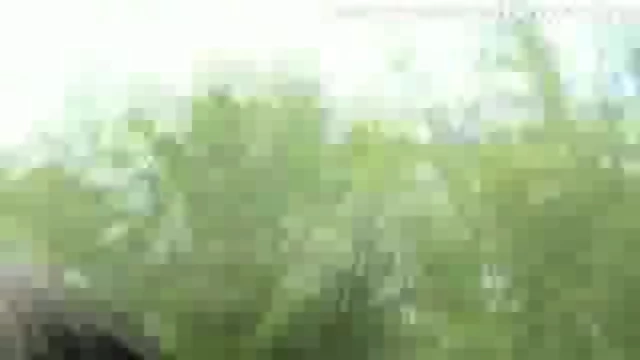 Hot German Girl masturbating on the Train