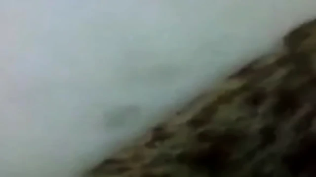 Arab very horny suck her bf