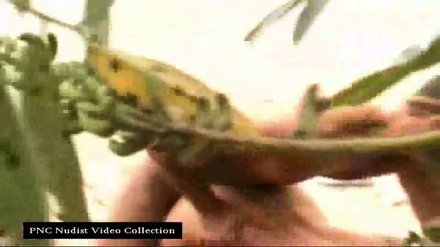 Caught fucking on the Beach