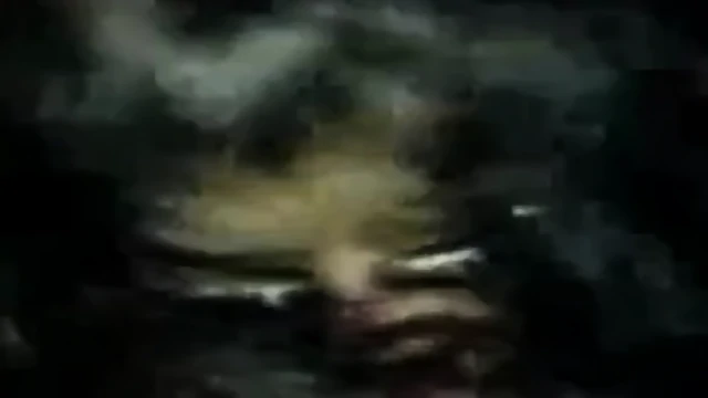 Lina Foititria Logistikis Tei Serron