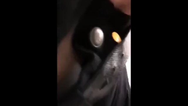 Teen Slut Fucked in Public Dressing Room